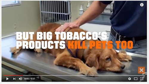 미국 금연운동단체 '투르스 이니셔티브'(TI) 공익 광고 유튜브 화면 캡처